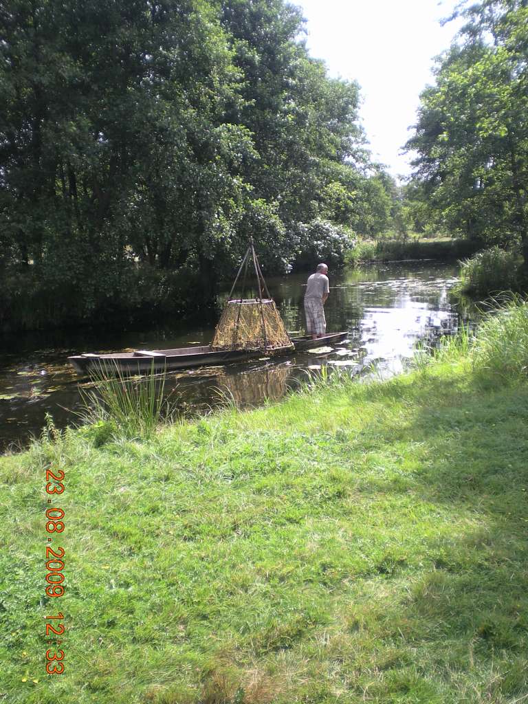 Стохід - Sedlysche