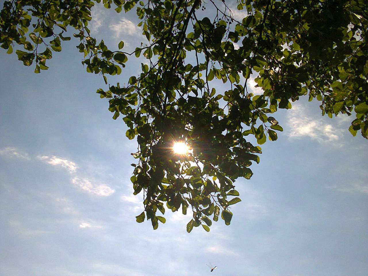 Погода буває різною - Sedlysche