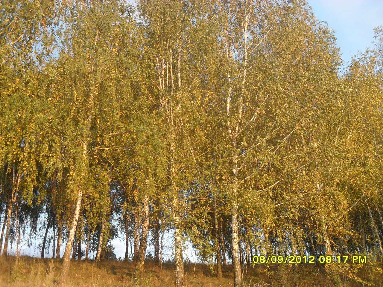 Джуринці з panoramio.com - Джуринці