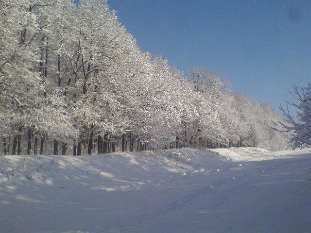 Джуринці з panoramio.com - Dzhuryntsi