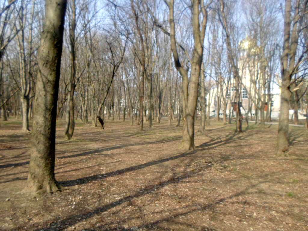 парки - Стрый