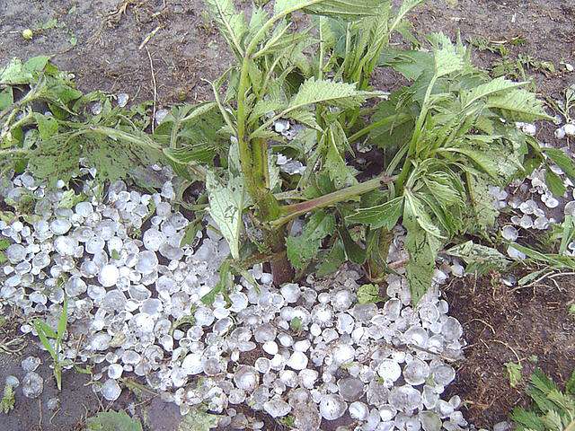 Погода буває різною - Седлище