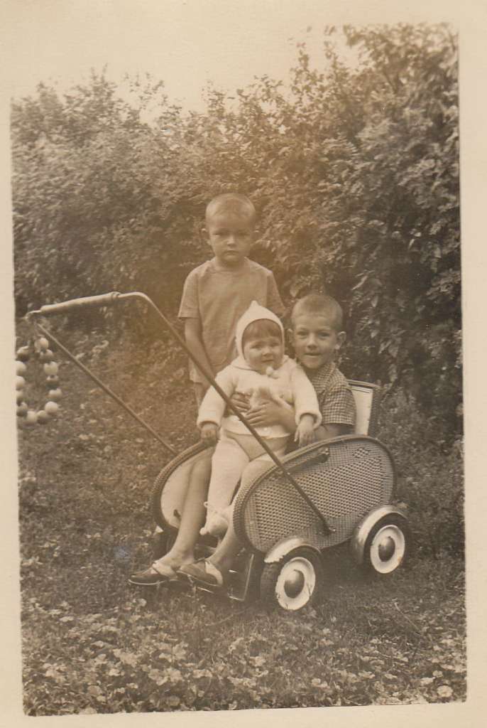 ЛЕБЕДИНЦІ - Лебедин