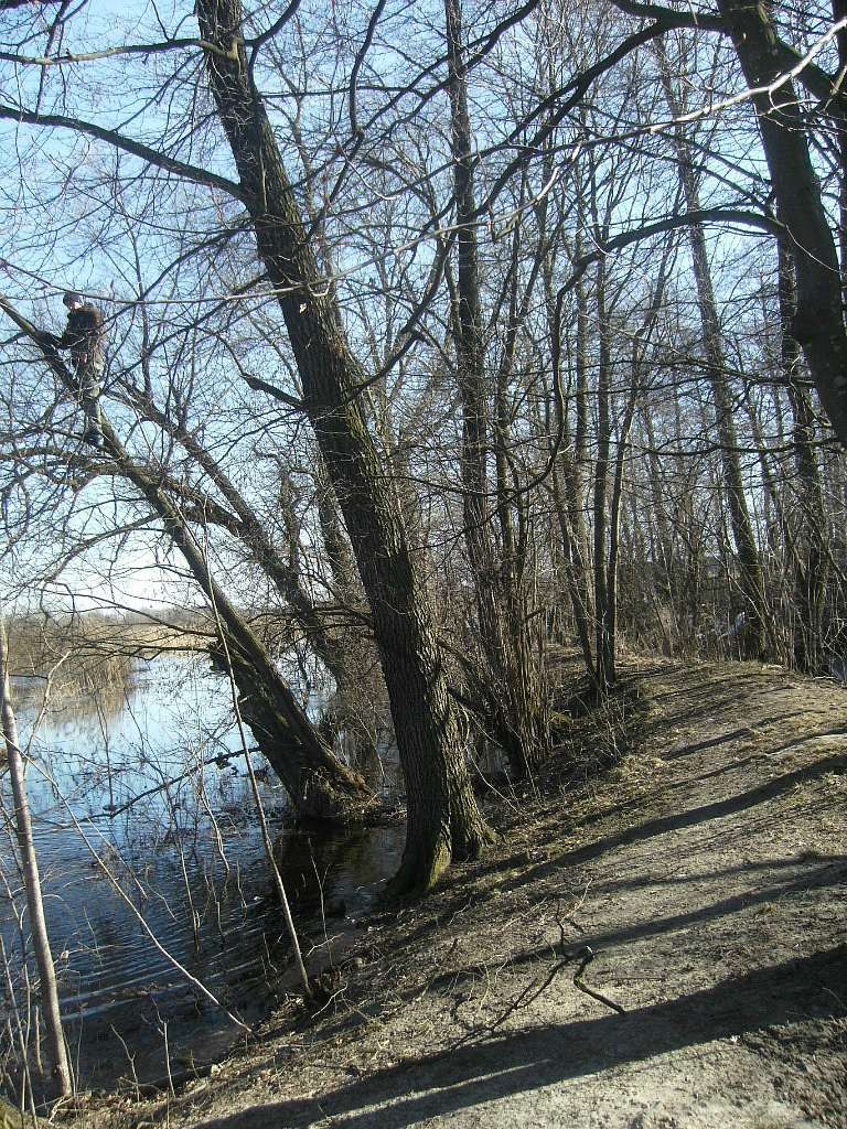 Стохід - Седлище