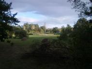 Поляна з panoramio.com