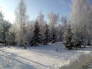 Шебутинці з panoramio.com