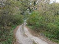 Щасливе - Останні фото