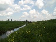 Партизанське з panoramio.com