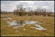 Токарівка з panoramio.com