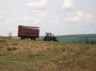 Настасіївка з panoramio.com