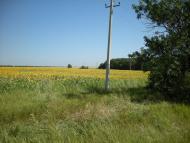 Vodyane Druge - Latest photos