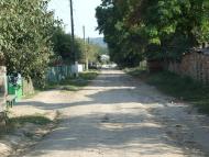 Дружное - Последние фото