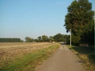 Оріхове - Останні фото