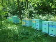 Надеждівка з panoramio.com