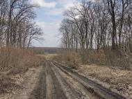 Бандурове з panoramio.com