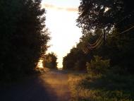 Червона Дача з panoramio.com