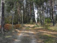 Кумейки з panoramio.com