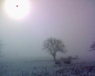 Червона Нива з panoramio.com