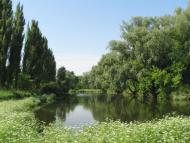 Марківці з panoramio.com