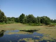 Лютенські Будища з panoramio.com