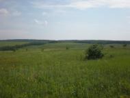 Попасне з panoramio.com