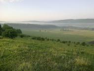 Рашків з panoramio.com