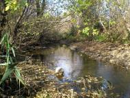 Сергіївка з panoramio.com