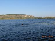 Вільховатка з panoramio.com