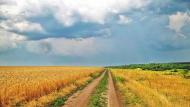 Плоско-Забузьке з panoramio.com