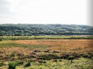 Андрієво-Іванівка з panoramio.com