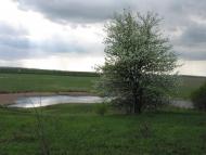 Озерне з panoramio.com