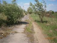 Дем'янка-Наддністрянська з panoramio.com