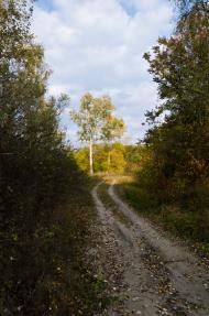 Буланове з panoramio.com