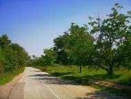 Плотинне з panoramio.com