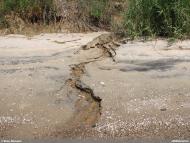 Куликівське з panoramio.com