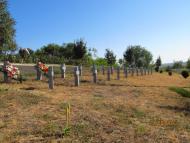 Старобогданівка з panoramio.com