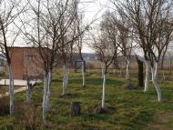 Стовп'яги з panoramio.com