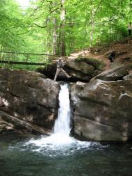 Лумшори з panoramio.com