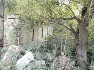 Вербка з panoramio.com