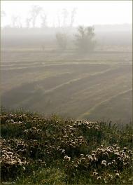 Новомайське з panoramio.com