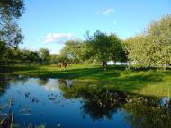 Тристень з panoramio.com