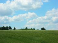 Новоселиця - Останні фото