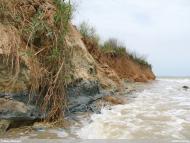 Куликівське з panoramio.com