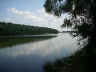 Вища Дубечня з panoramio.com