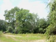 Буланове з panoramio.com