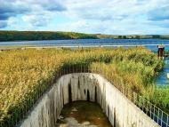 Ольшанское - Последние фото