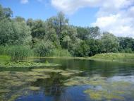 Сухорабівка з panoramio.com