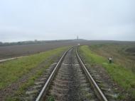 Буйволівці з panoramio.com