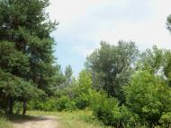 Буланове з panoramio.com