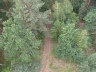 Гути - Останні фото